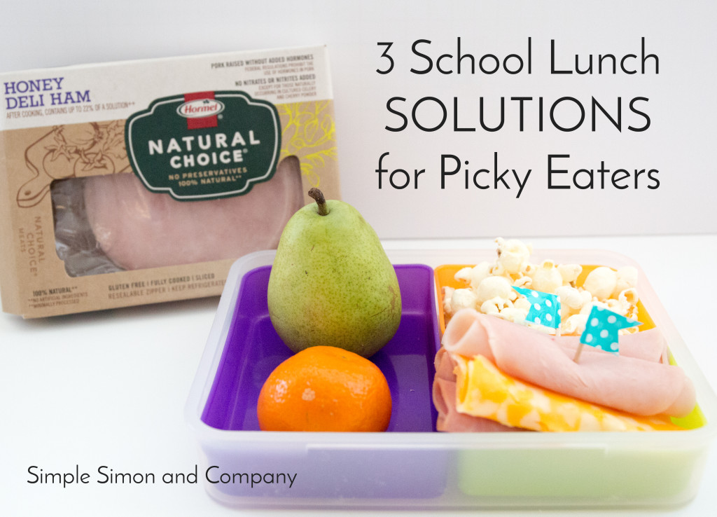 The Art of Homemaking 3 School Lunch Solutions for Picky Eaters