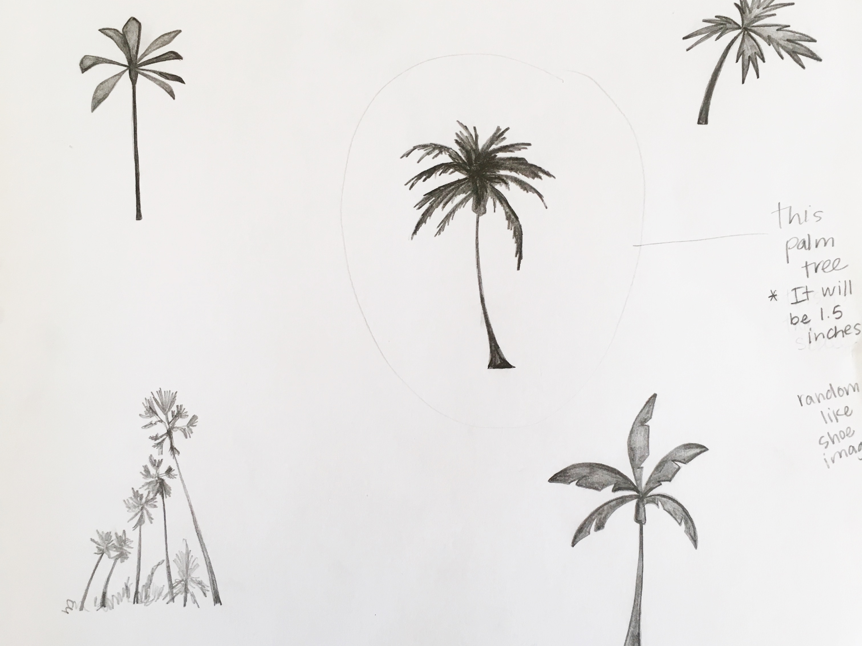 Just Add Sugar Palm Tree Drawing Simple Simon And Company Just Add Sugar Palm Tree Drawing Simple Simon And Company